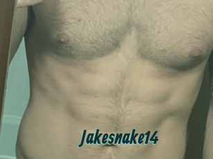 Jakesnake14