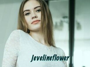 Jevelineflower