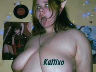 Kattixo