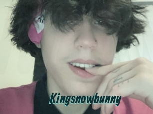 Kingsnowbunny