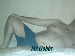 Mr_Hobbs