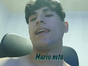 Mario_neta