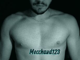 Mecchaud123