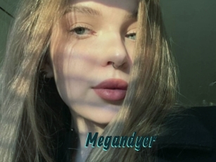 Megandyer