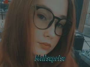 Melisaprise