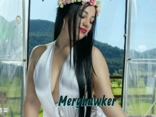 Meryhawker