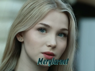 Merylarnet