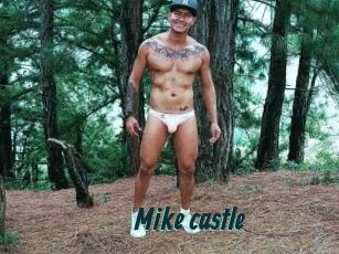 Mike_castle