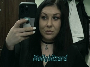 Mollyblizard