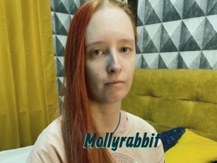 Mollyrabbit