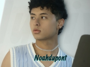 Noahdupont