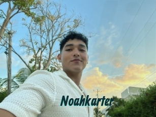 Noahkarter