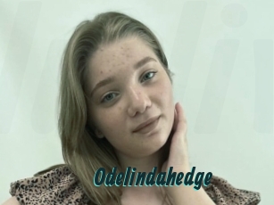 Odelindahedge