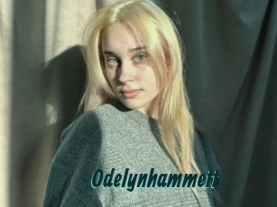 Odelynhammett