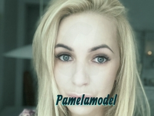 Pamelamodel