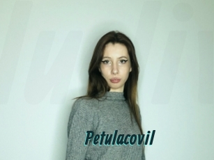 Petulacovil