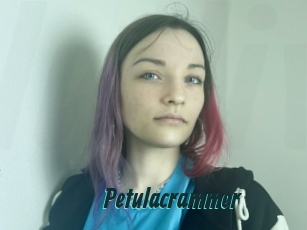 Petulacrammer