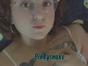 Pinkysnake