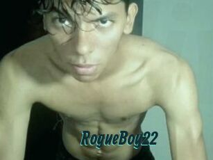 RogueBoy22