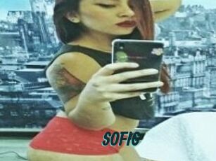 SOFI_G