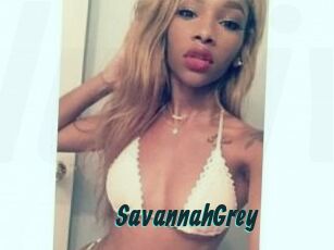 Savannah_Grey