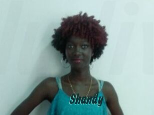 Shandy