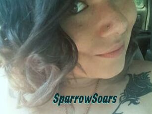 SparrowSoars