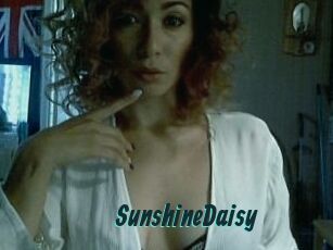 SunshineDaisy