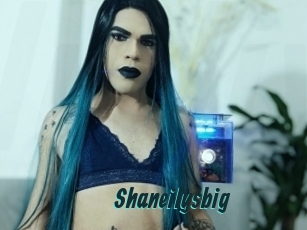 Shaneilysbig