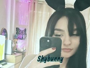 Shybunny