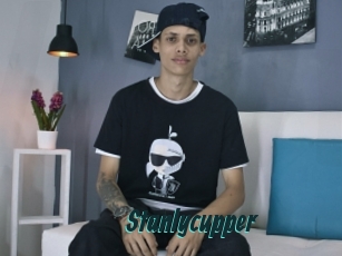 Stanlycupper