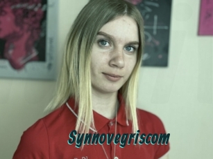 Synnovegriscom