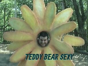 TEDDY_BEAR_SEXY