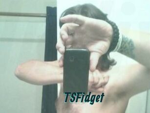 TSFidget