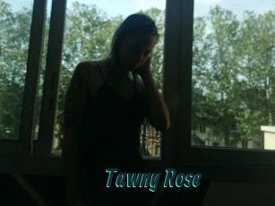 Tawny_Rose