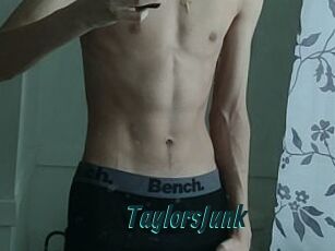 TaylorsJunk