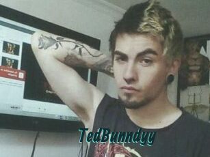 TedBunndyy