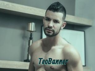 TeoBanner