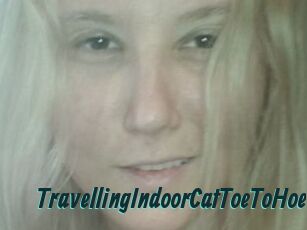 TravellingIndoorCatToeToHoe