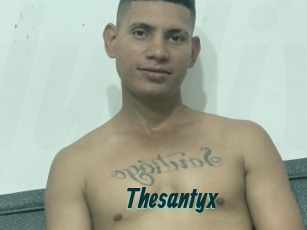 Thesantyx