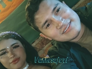 Vannesajavi