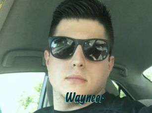 Wayneer