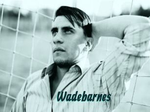 Wadebarnes