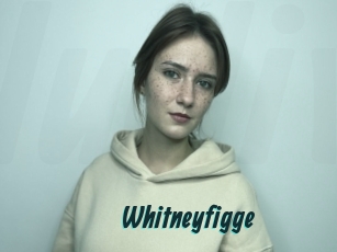 Whitneyfigge