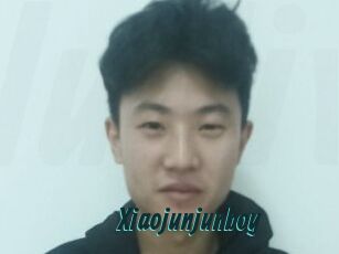 Xiaojunjunboy