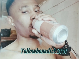 Yellowbonedick2010