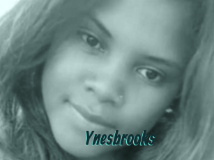 Ynesbrooks