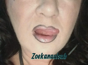 Zoekanaalsub